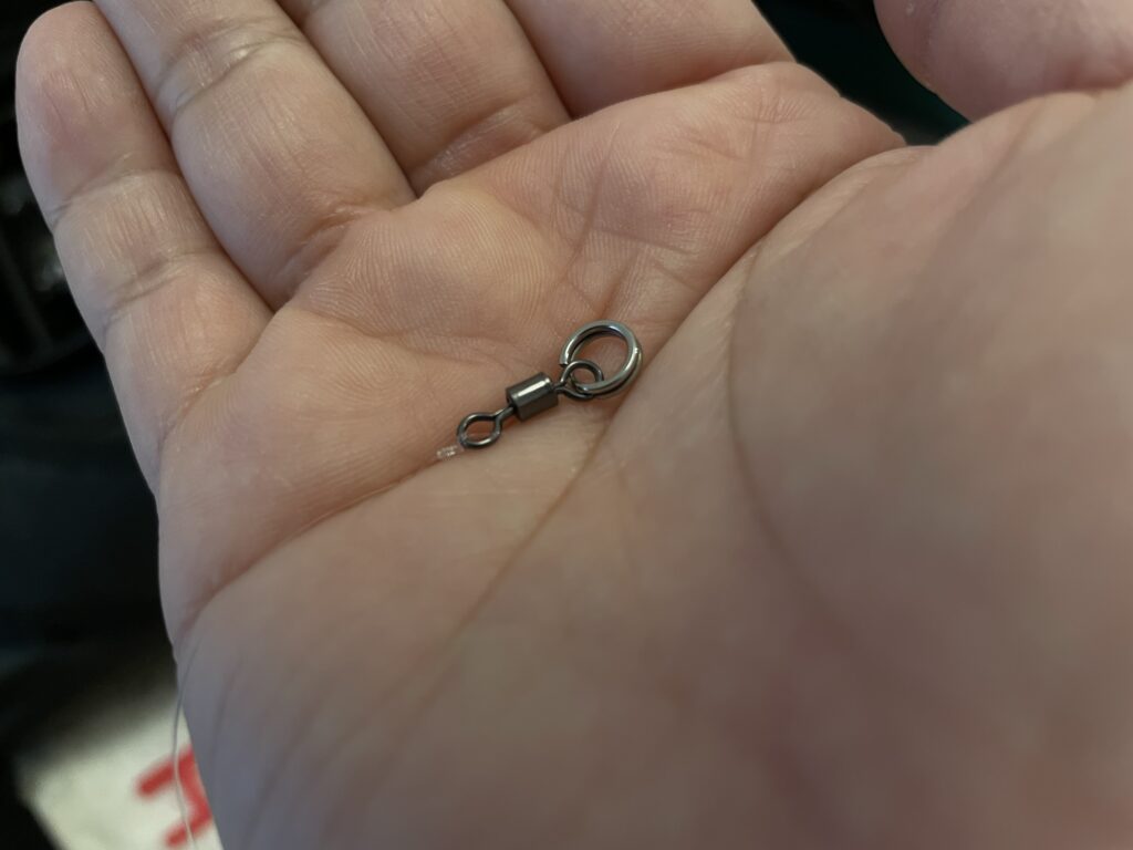 サルカンに結ばれたリーダー