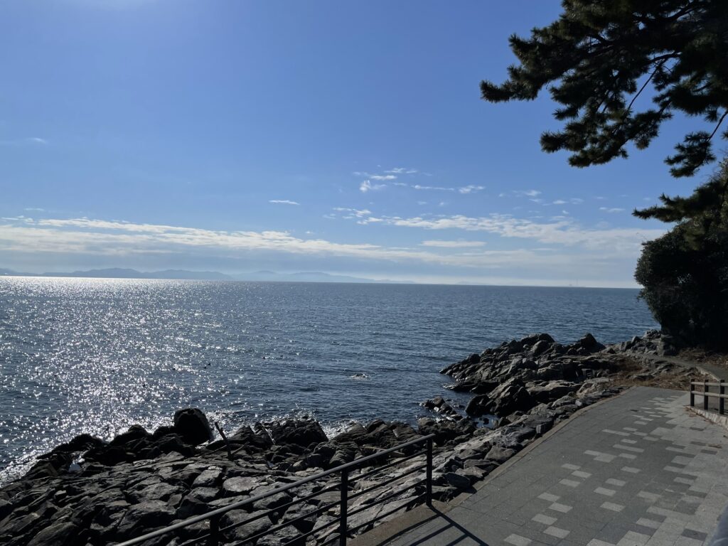 西浦パームビーチの磯場