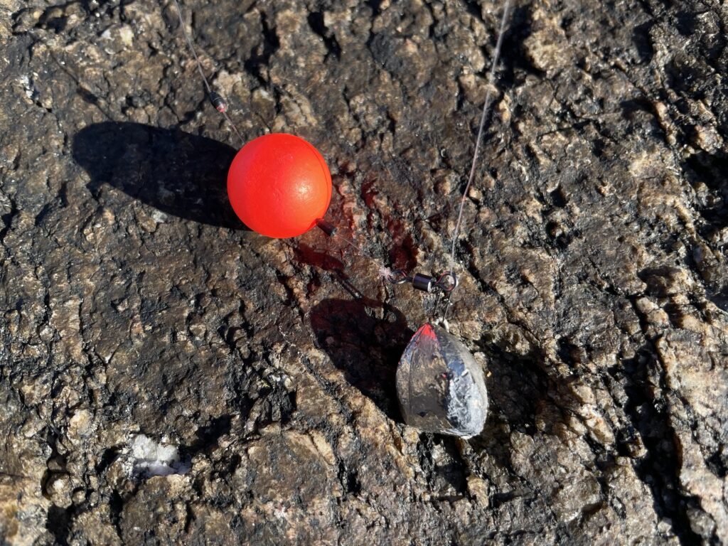 ぶっこみ釣りの仕掛け