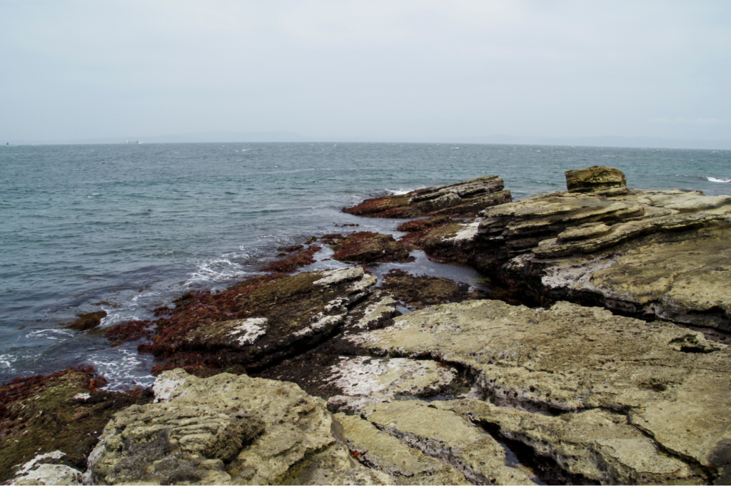 足元の悪い磯場