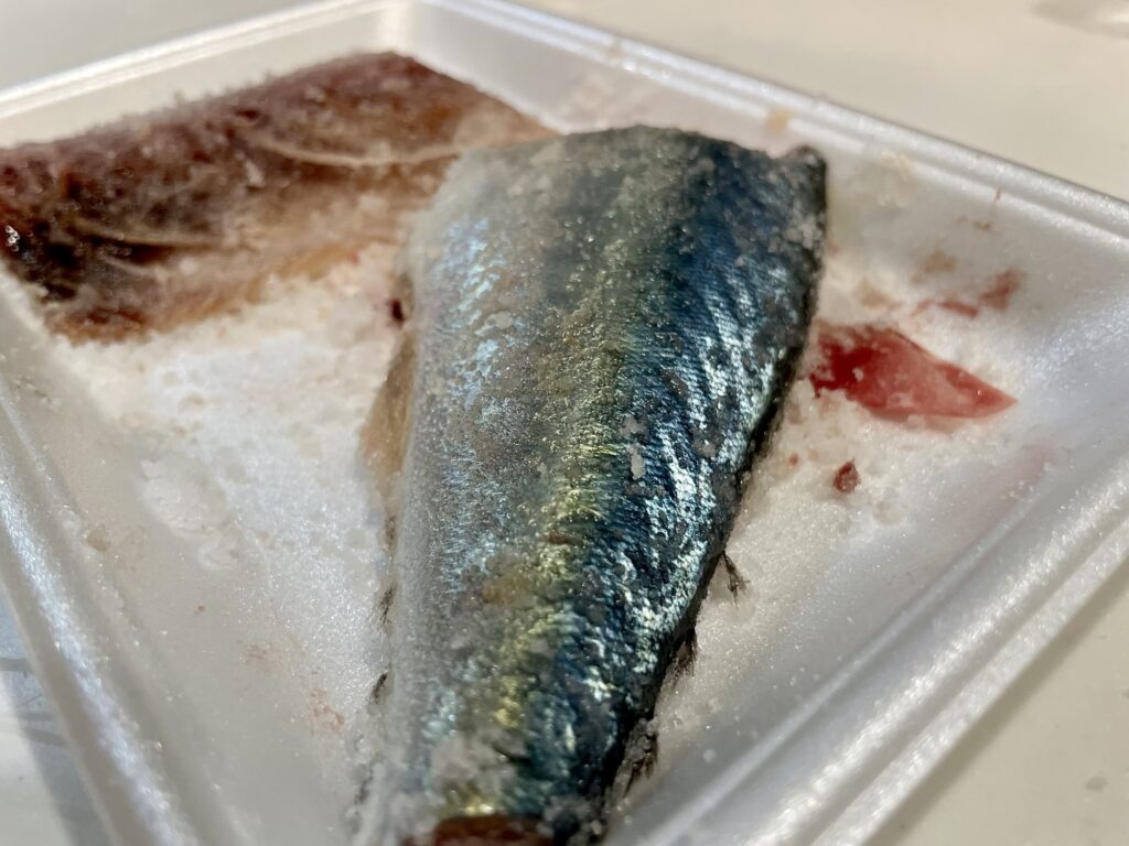 塩まみれのサバの切り身皮側